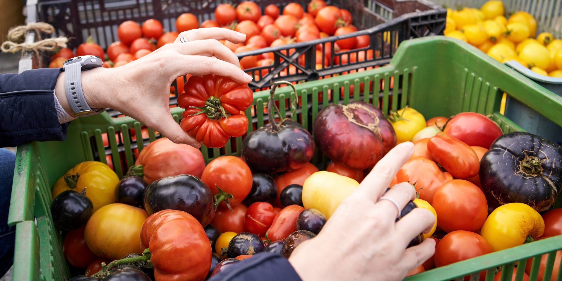 Tomatenvielfalt &amp; Gemüseglück , © Adobe Stock