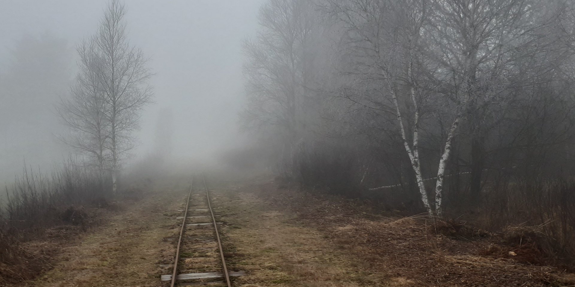Ahlenmoor-Nebelgleise, © S. Fürst 