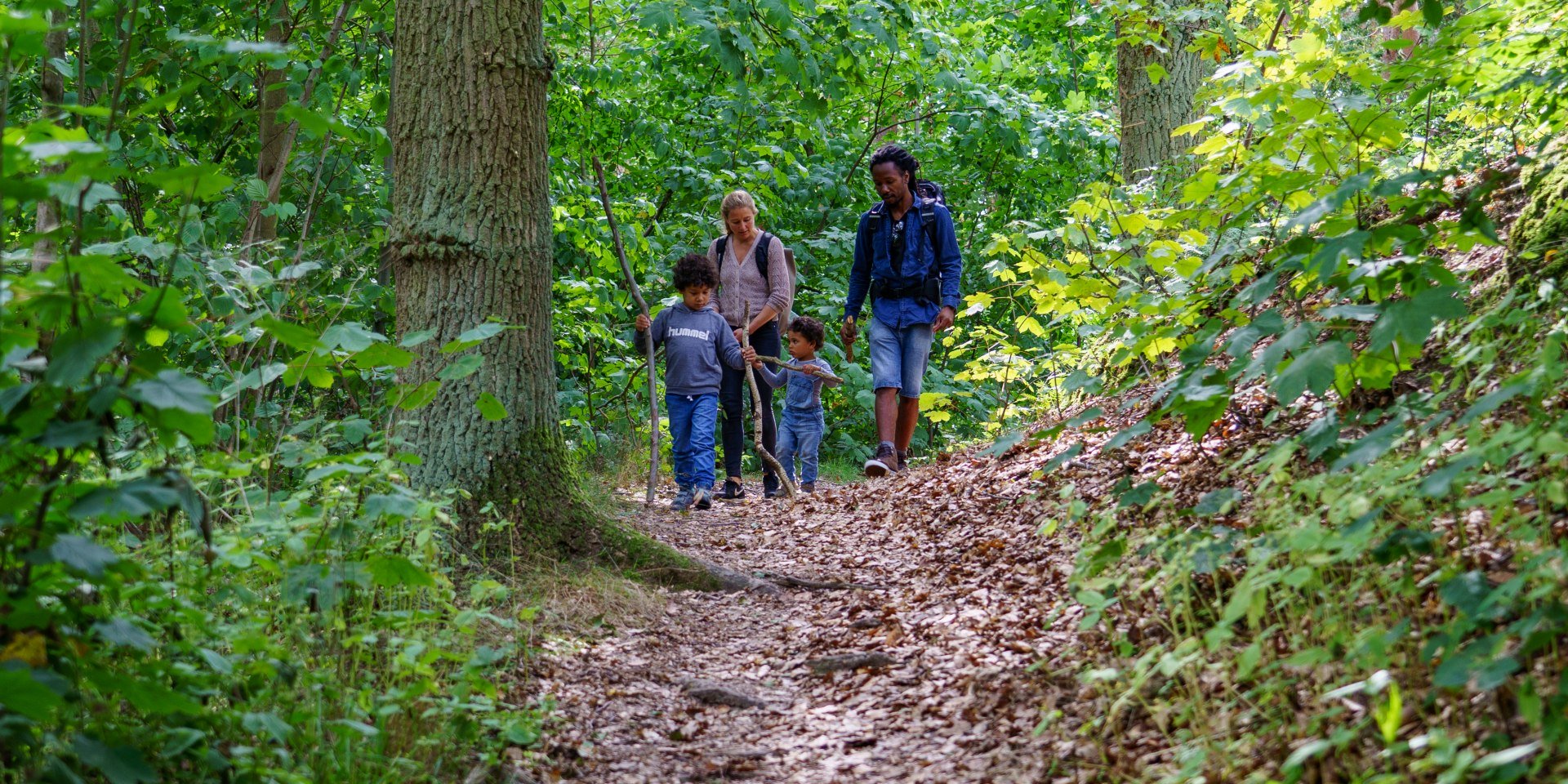 Hartholzauenwälder, © Paco Fiedler / Marketingbüro Wendland.Elbe 