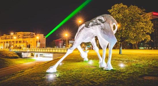 Giraffe vor dem Laserstrahl, © Julian Huke Photography