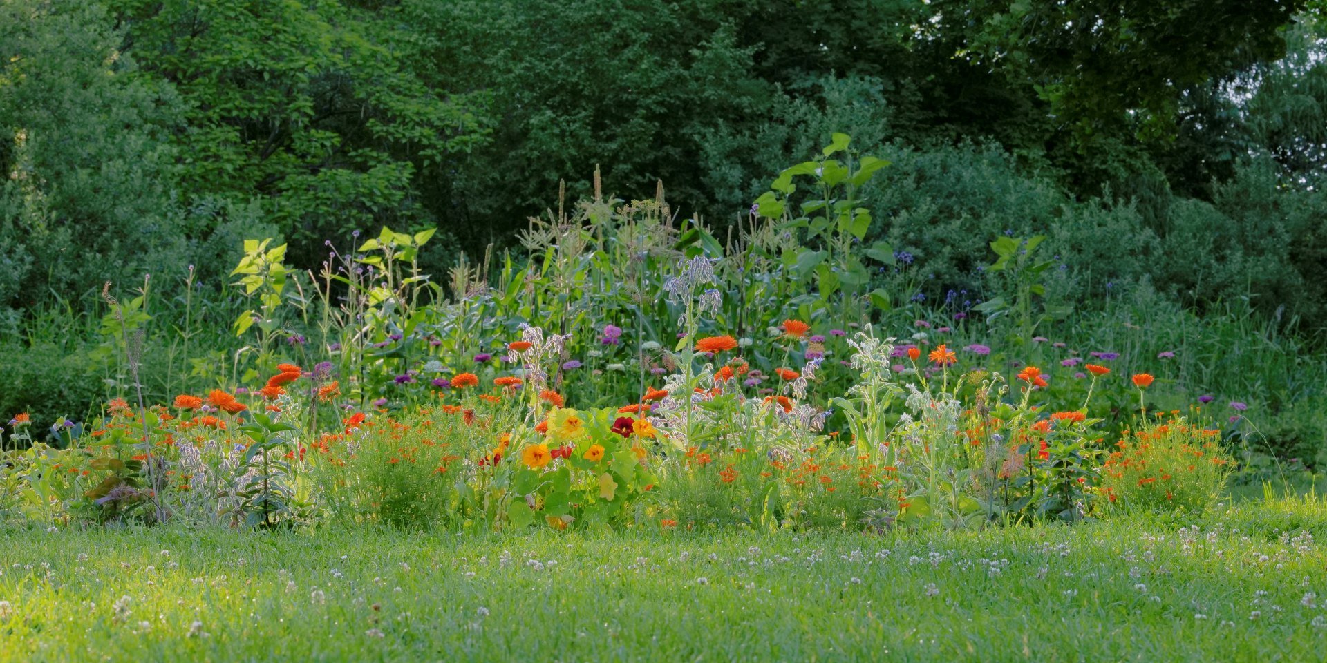 Wechselflor LAGA, © LAGA/Terhorst Wechselflor LAGA, © LAGA/Terhorst