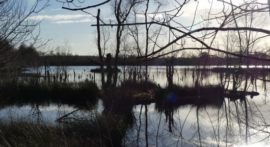 Moor-Wasser-Wald- Erlebnispfad, © Altes Land am Elbstrom