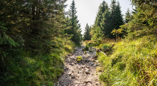 Wanderweg Harz, © Foto: M. Tiemann