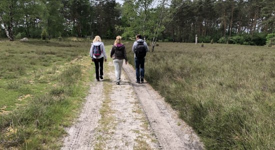 Die Mittelweser-Region bietet interessante Wander- und Pilgerwege. Vom kleinen Rundkurs über Fernwanderwege bis zu Pilgerwegen ist alles dabei., © Mittelweser-Touristik GmbH Die Mittelweser-Region bietet interessante Wander- und Pilgerwege. Vom kleinen Rundkurs über Fernwanderwege bis zu Pilgerwegen ist alles dabei., © Mittelweser-Touristik GmbH