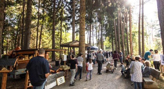 Schlendern und stöbern im Wildpark, © Wildpark Müden GmbH Schlendern und stöbern im Wildpark, © Wildpark Müden GmbH