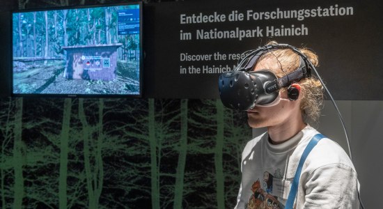 Digitaler Wald VR-Erlebnis, © Uni Göttingen/Peter Heller Digitaler Wald VR-Erlebnis, © Uni Göttingen/Peter Heller