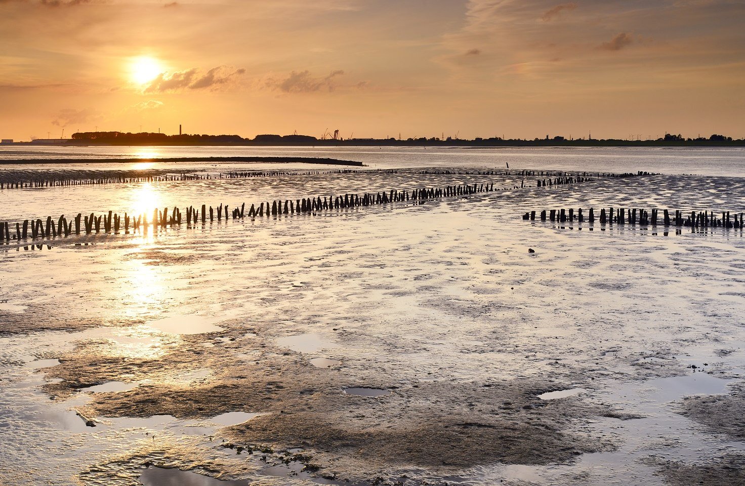 Niedersachsen Tourismus - fit für den Klimawandel , © TMN/ Francesco Carovillano