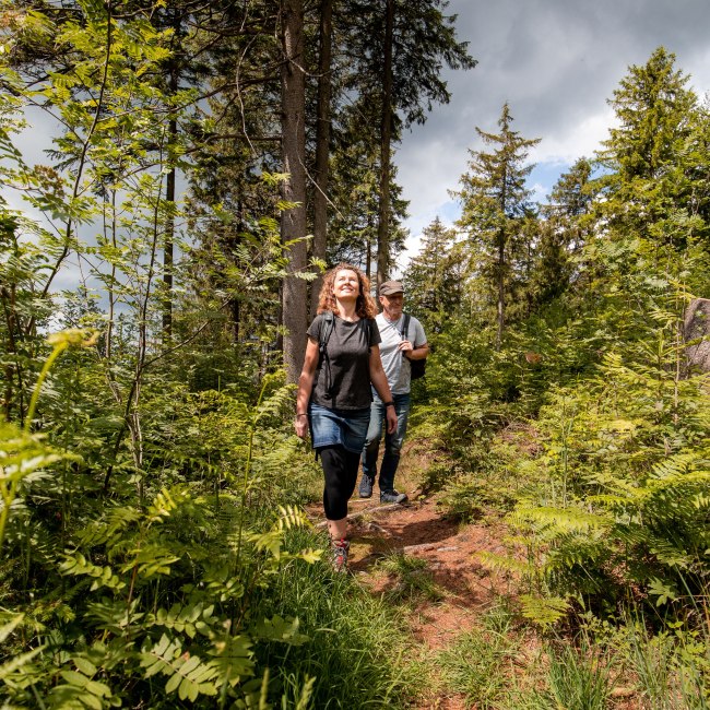 Wanderung Hils, © SVR/KörnerPaeslack