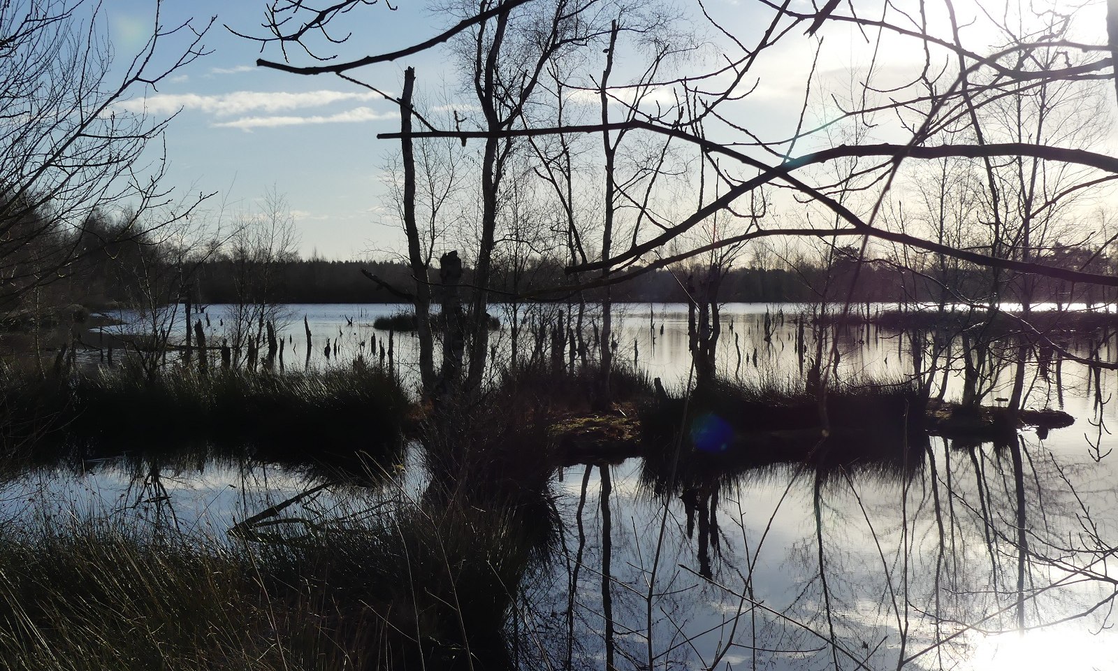 Moor-Wasser-Wald- Erlebnispfad, © Altes Land am Elbstrom