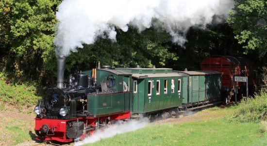 Lok Hoya Vilser, © Deutscher Eisenbahn-Verein e. V.
