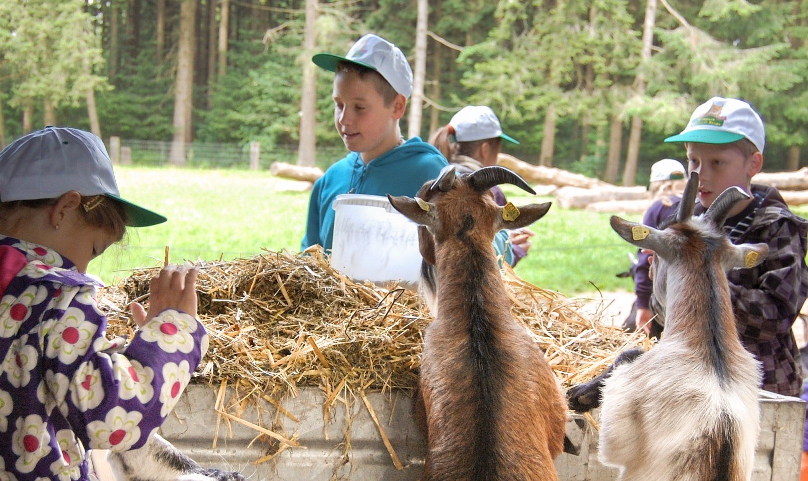 Stall ausmisten beim Tierpfleger Ferienprogramm im Wildpark Schwarze Berge, © Wildpark Schwarze Berge