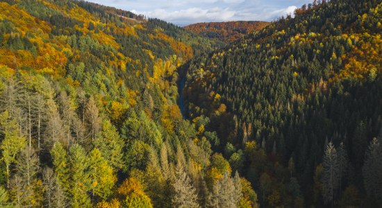 Luftbild Harz, © Alexander Kaßner