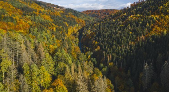 Luftbild Harz, © Alexander Kaßner