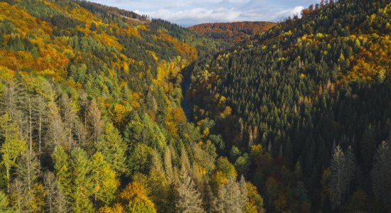 Luftbild Harz, © Alexander Kaßner Luftbild Harz, © Alexander Kaßner