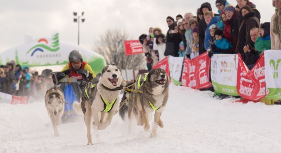 Oberharzer Schlittenhunde Adventure, © Jonathan Rhode