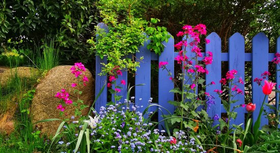 Blauer Gartenzaun, © Karin Görz