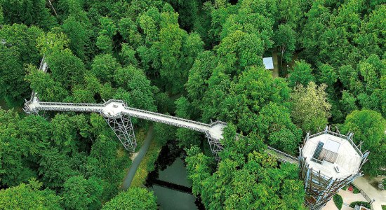 Der Baumwipfelpfad Bad Iburg, © Helmut Schmidt