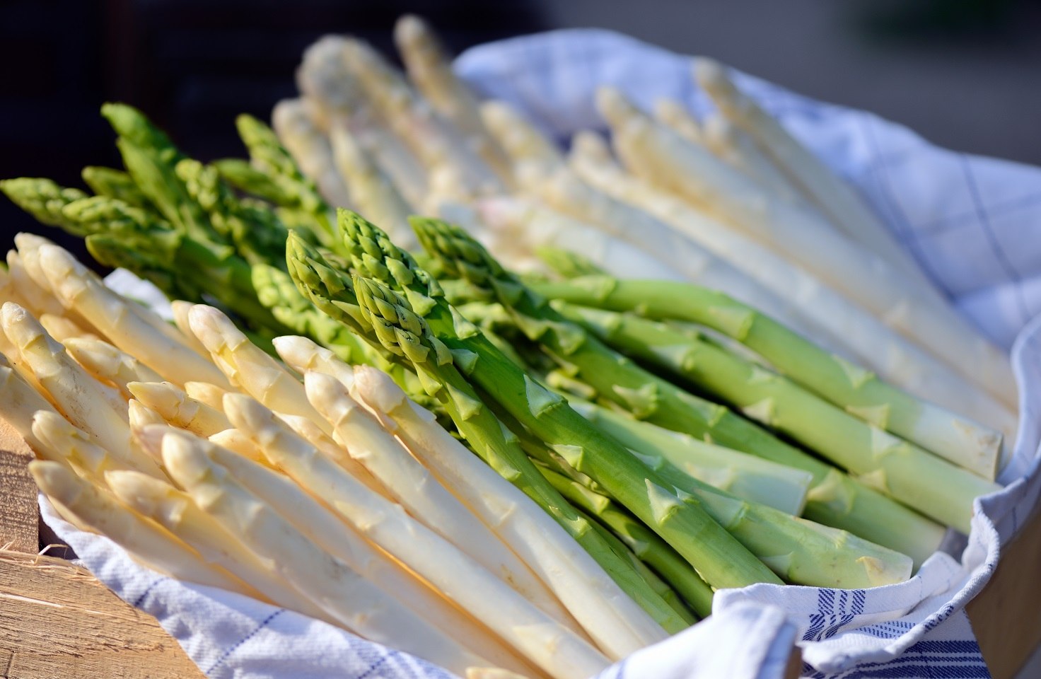 Der Nienburger Spargel hat einen leicht nussigen Geschmack., © TMN/Francesco Carovillano