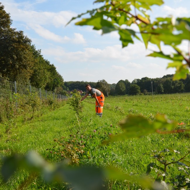 Bürgerwald, © Stadt Geestland