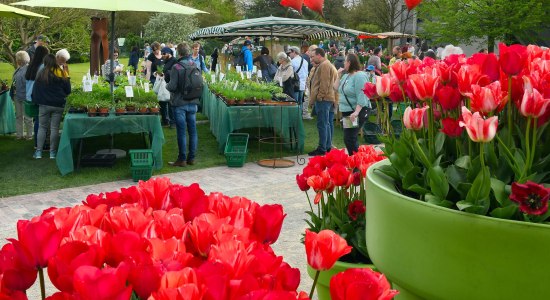 PflanzenWELTEN im Park der Gärten - Gartenflohmarkt, © Park der Gärten gGmbH PflanzenWELTEN im Park der Gärten - Gartenflohmarkt, © Park der Gärten gGmbH
