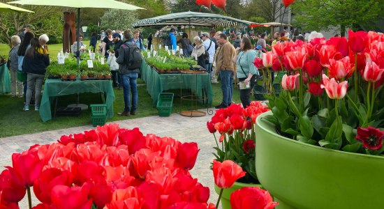 PflanzenWELTEN im Park der Gärten - Gartenflohmarkt, © Park der Gärten  gGmbH