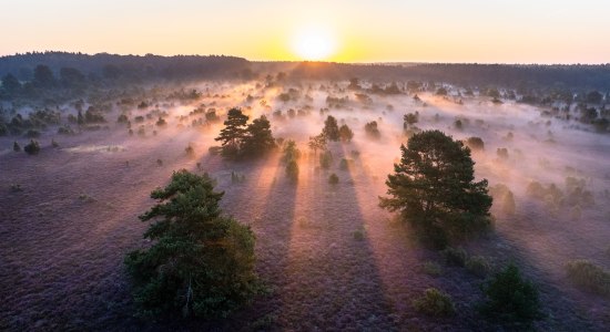 Lüneburger Heide Gewinnerbild, © LHG / Thorsten Link