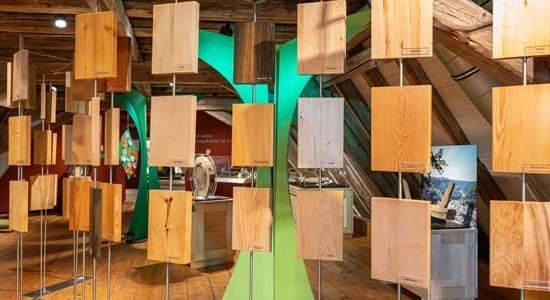 Holz macht Sachen, © Matthias Meyer